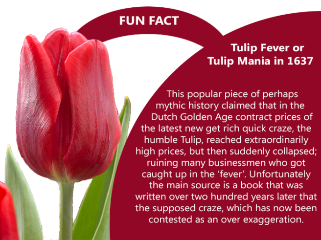 tulip feaver fun fact